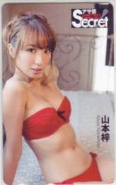 山本梓 アサ芸Secret! Aランク