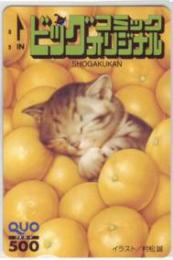 村松誠 ネコイラスト ビッグコミックオリジナル QUOカード Aランク