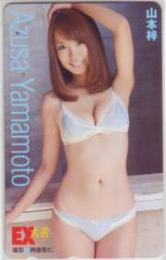 山本梓 EX大衆 Aランク