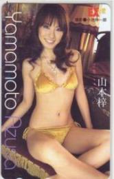 山本梓 EX大衆 Aランク