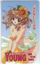 CARNELIAN メンズヤング Aランク