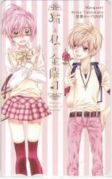 猫と私の金曜日 種村有菜 マーガレット 図書カード Aランク